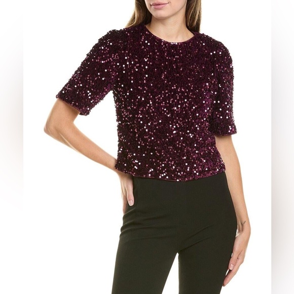 Nanette Nanette Lepore Short Sleeve Velvet Sequin Blouse - Size S - Plum - NWT - Picture 1 of 9